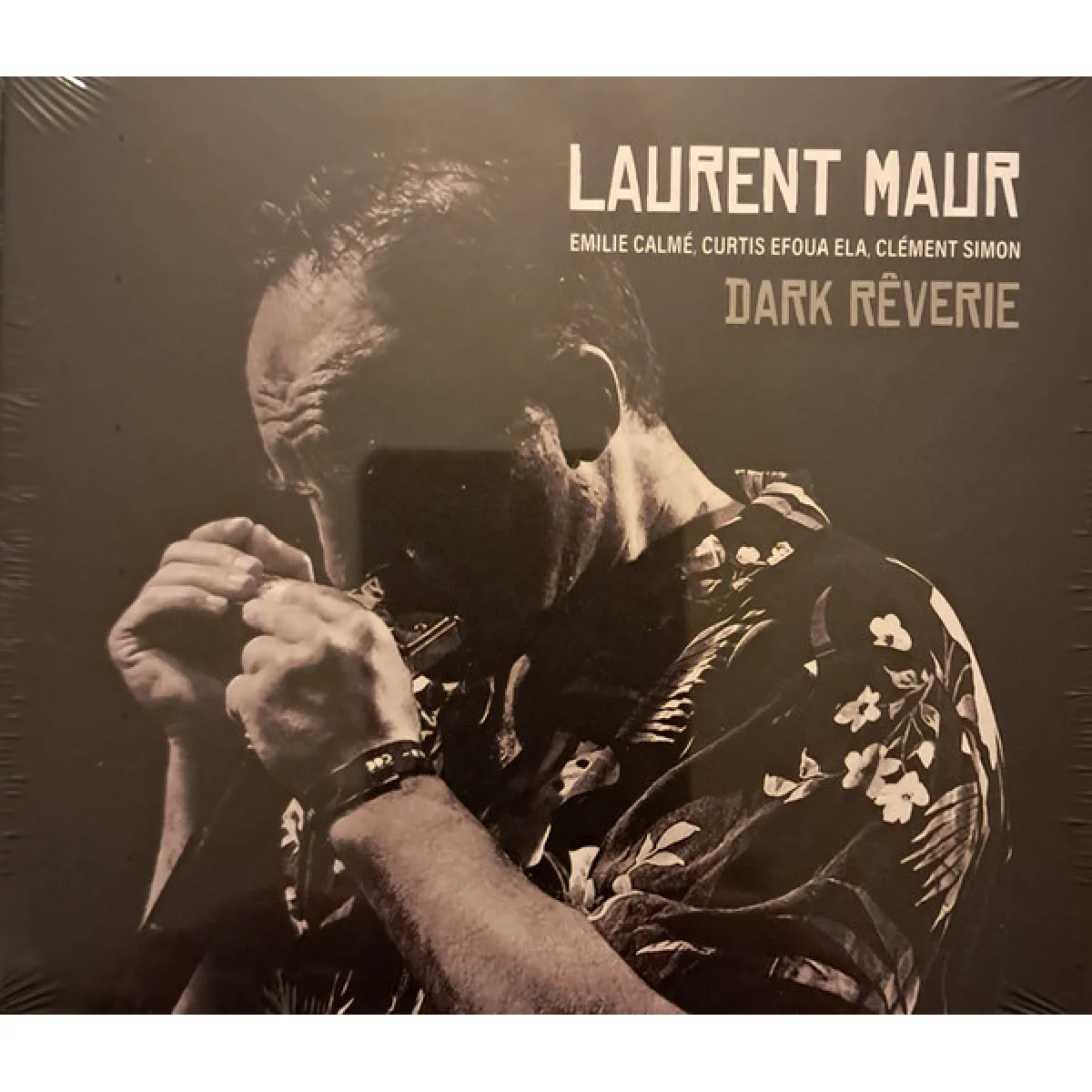 Laurent Maur - Dark Rêverie